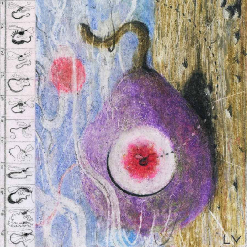 INSIDE EVERY FIG IS A DEAD WASP (INDIE E