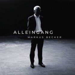 ALLEINGANG