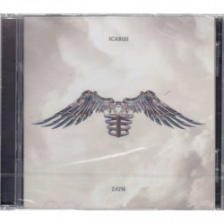 ICARUS FALLS