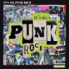 IT S ALL PUNK ROCK