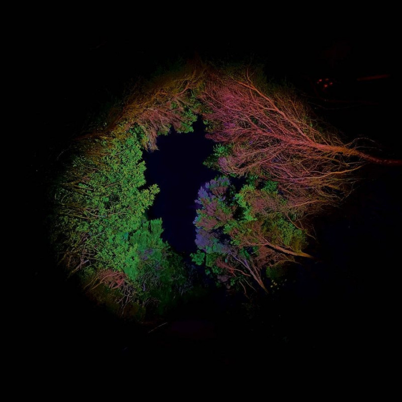 HIDDEN ISLAND MUSIC (UNTITLED 398)