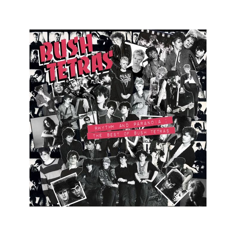 RHYTHM AND PARANOIA: THE BEST OF BUSH TE