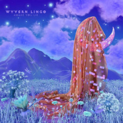 AWAKE YOU LIE (DELUXE)