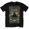 PINK FLOYD KID'S TEE: CARNEGIE HALL POSTER (RETAIL PACK) (LARGE)