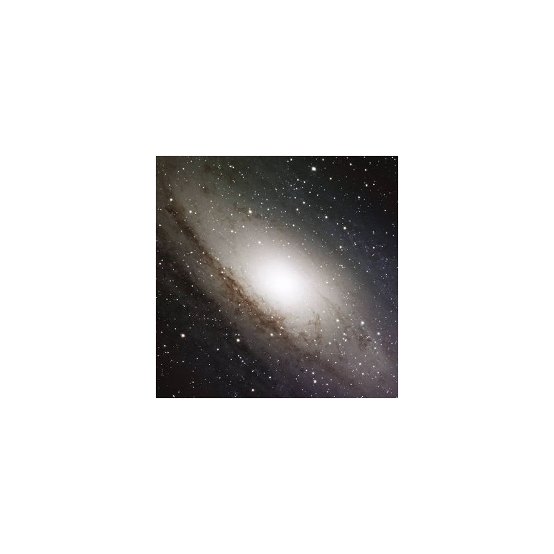 ANDROMEDA SKYLINE - BEER, BONE & BLACK