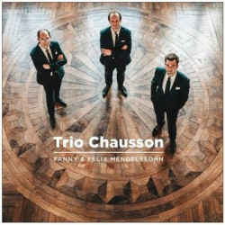 PIANO TRIO IN D MINOR OP.11