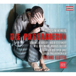 THE PASSENGER