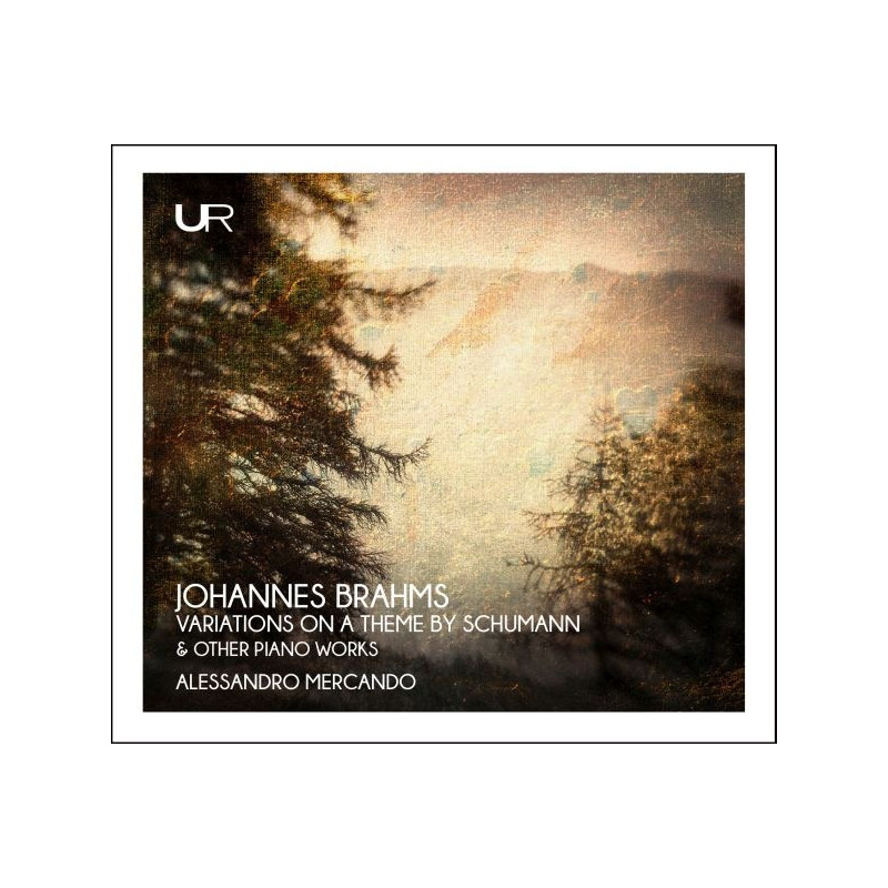 VARIATIONS ON A THEME BY SCHUMANN & OTHE