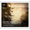 VARIATIONS ON A THEME BY SCHUMANN & OTHE