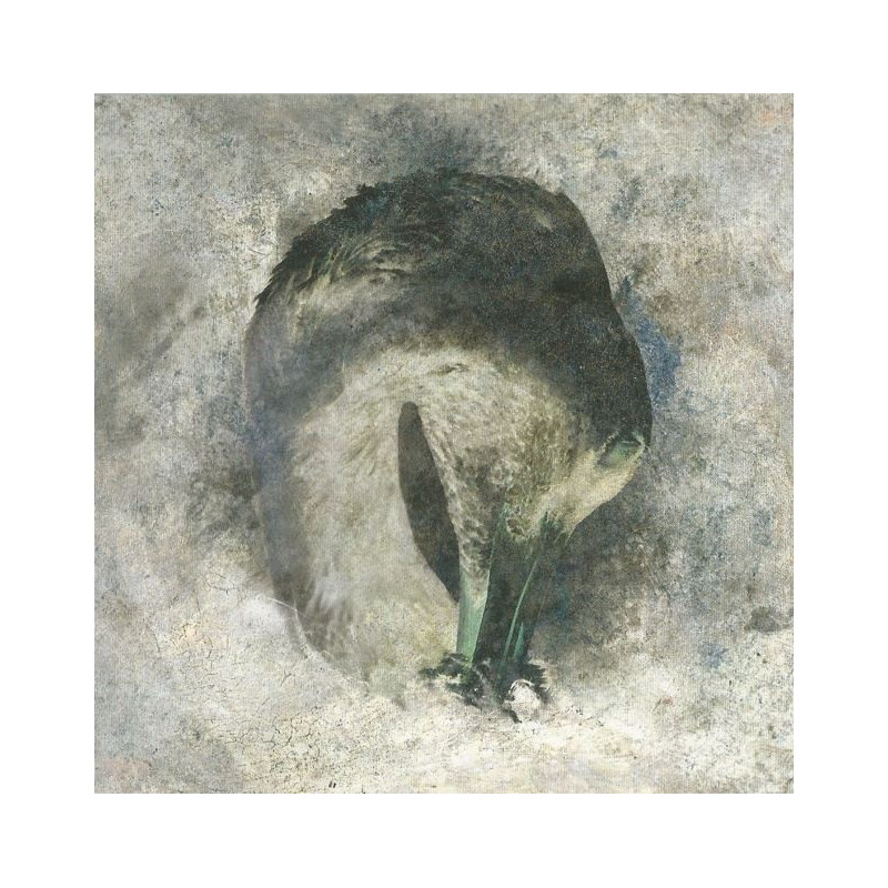 ASHES (20TH BAND ANNIVERSARY EDITION)