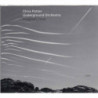 IMAGINARY CITIES - CHRIS POTTER UNDERGRO