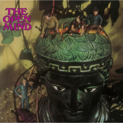 OPEN MIND (BEER VINYL)