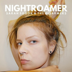 NIGHTROAMER