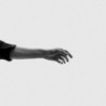 LIMBS