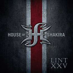 LINT XXV