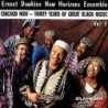 CHICAGO NOW - THIRTY YEARS OF GREAT BLAC
