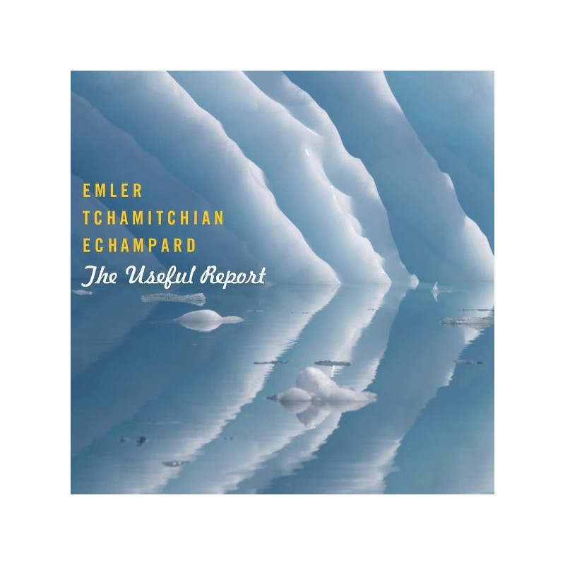 THE USEFUL REPORT