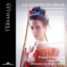 LA CAPTIVE DU SRAIL