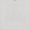 BON IVER (10TH ANNIVERSARY ED