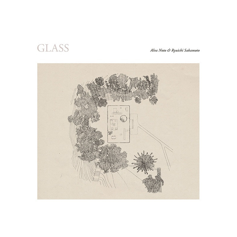GLASS