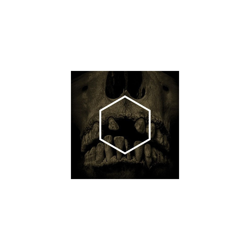 THE OTHERS (LUSTMORD DECONSTRUCTED)