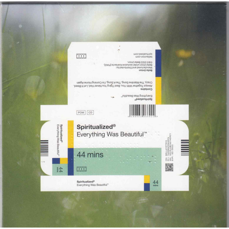 EVERYTHING WAS  BEAUTIFUL