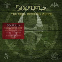 THE SOUL REMAINS INSANE: THE S
