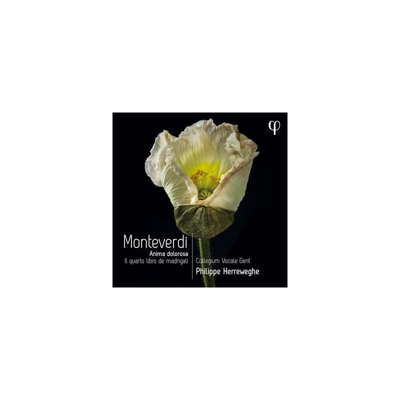 MONTEVERDI IL  QUARTO LIBRO DE  MADRIGALI