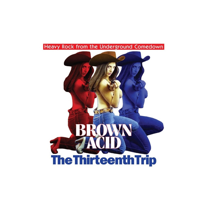 BROWN ACID - THE THIRTEENTH TRIP