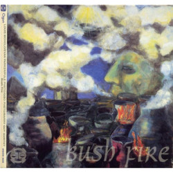 BUSH FIRE - MOHOLO LOUIS...