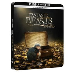 ANIMALI FANTASTICI E DOVE TROVARLI STEELBOOK (4K ULTRA HD + BLU-RAY)