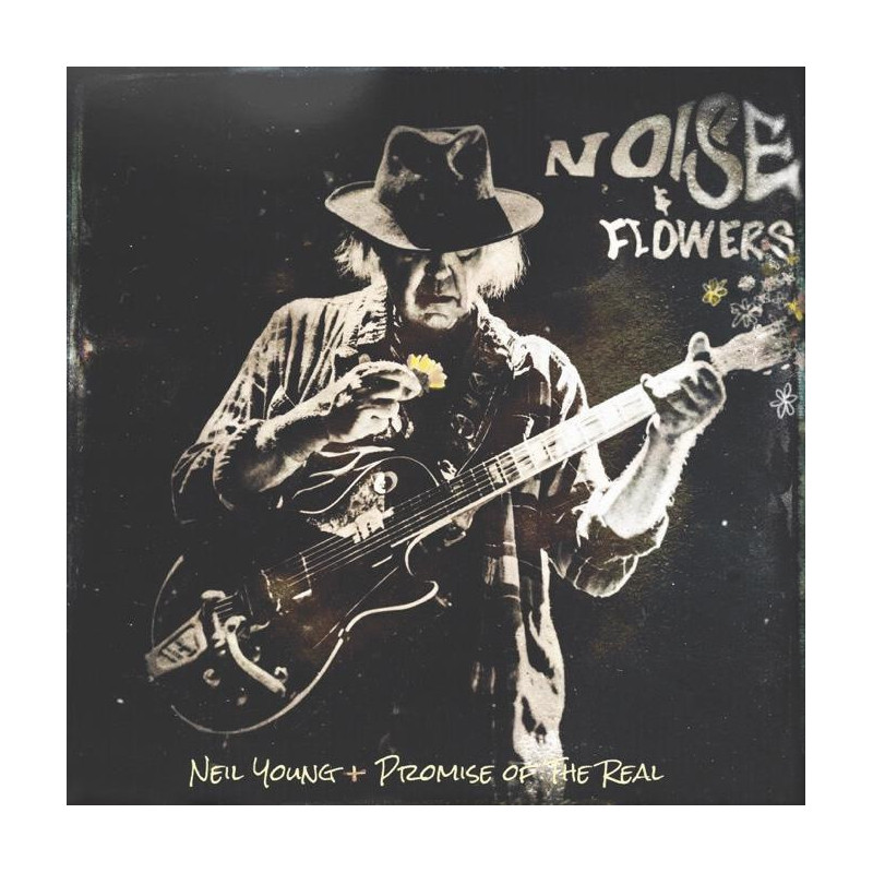 NOISE AND FLOWERS