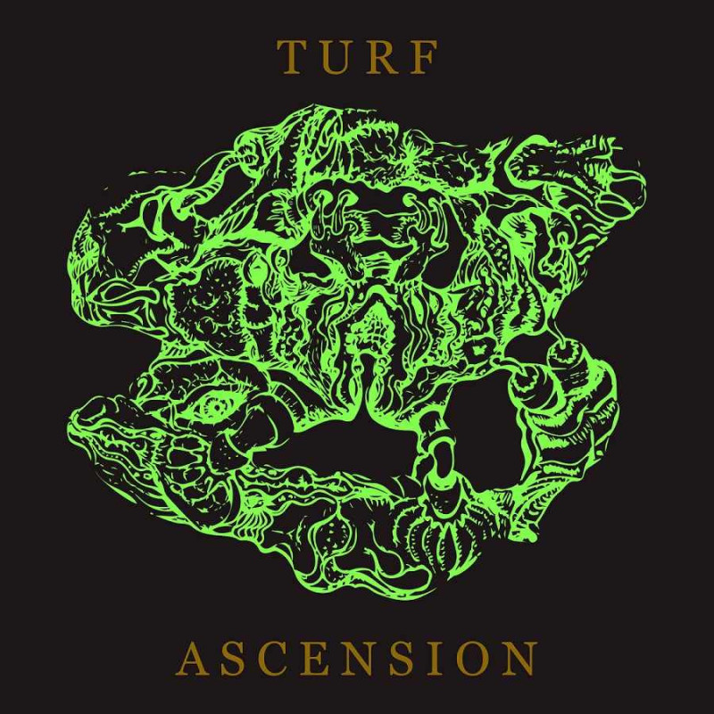 TURF ASCENSION