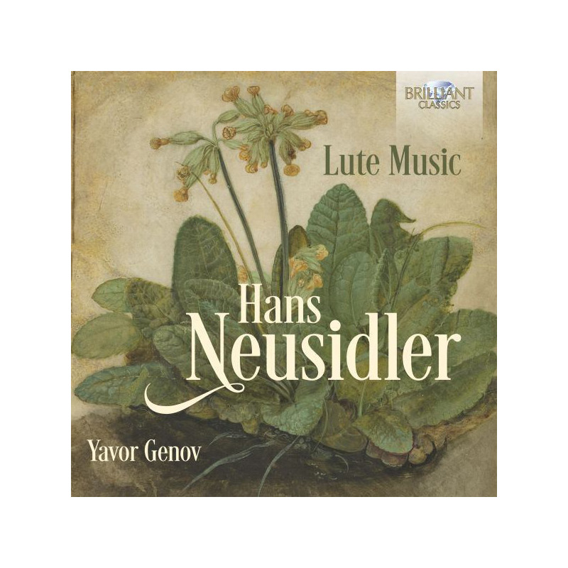 LUTE MUSIC