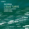LIQUID TURNS