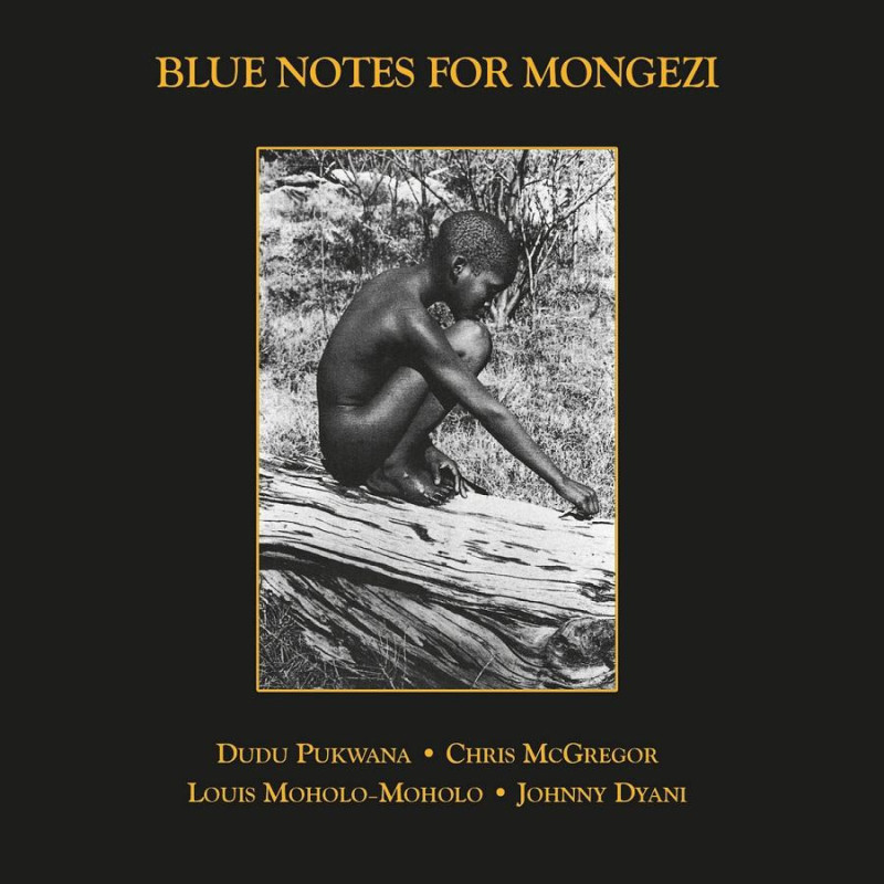 BLUE NOTES FOR MONGEZI