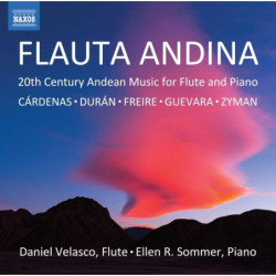 FLAUTA ANDINA