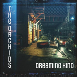 DREAMING KIND