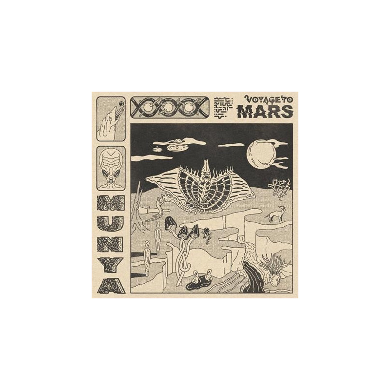 VOYAGE TO MARS