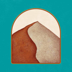 DUST MOVES (ORANGE VINYL)