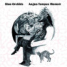 ANGUS TEMPUS MEMOIR