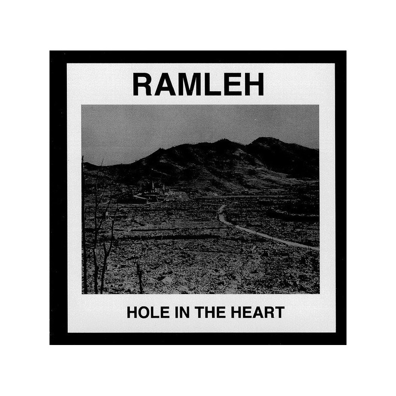 HOLE IN THE HEART