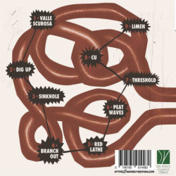 SAVORETTI, MINA: BRANCH OUT