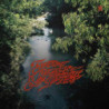 EDUCATION & RECREATION (CLEAR RED VINYL)