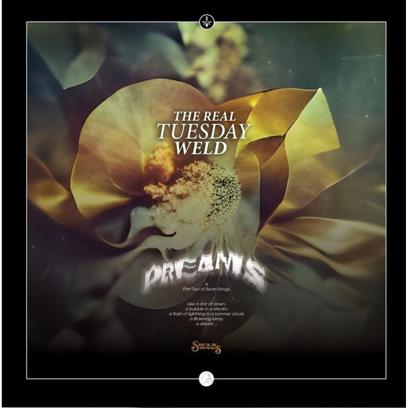 DREAMS (TRANSLUCENT GOLD VINYL)