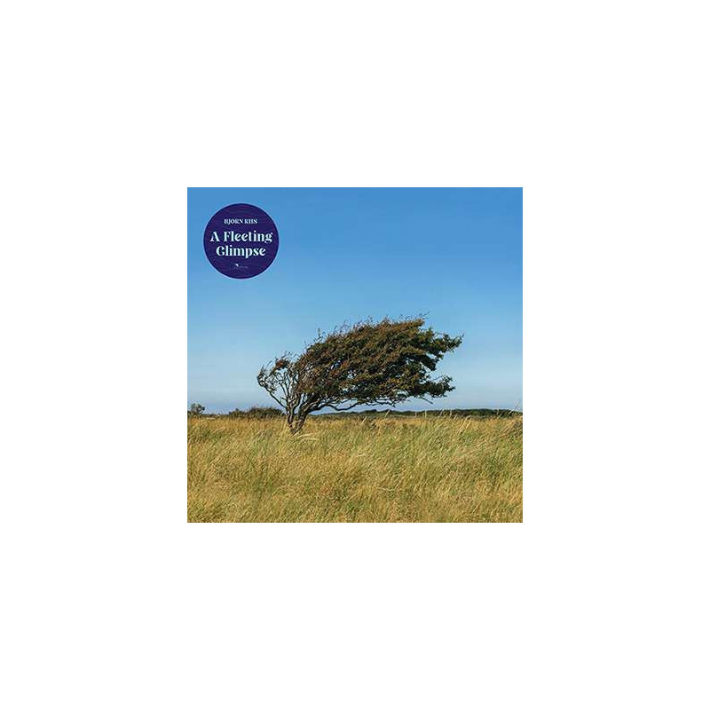 A FLEETING GLIMPSE - TRANSPARENT BLUE