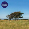 A FLEETING GLIMPSE - TRANSPARENT BLUE
