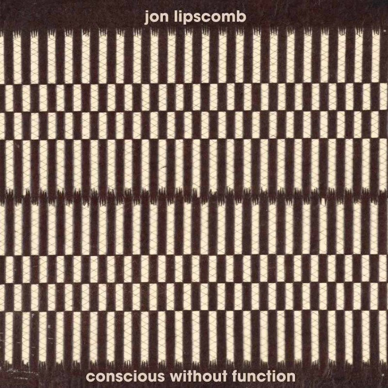 CONSCIOUS WITHOUT FUNCTION