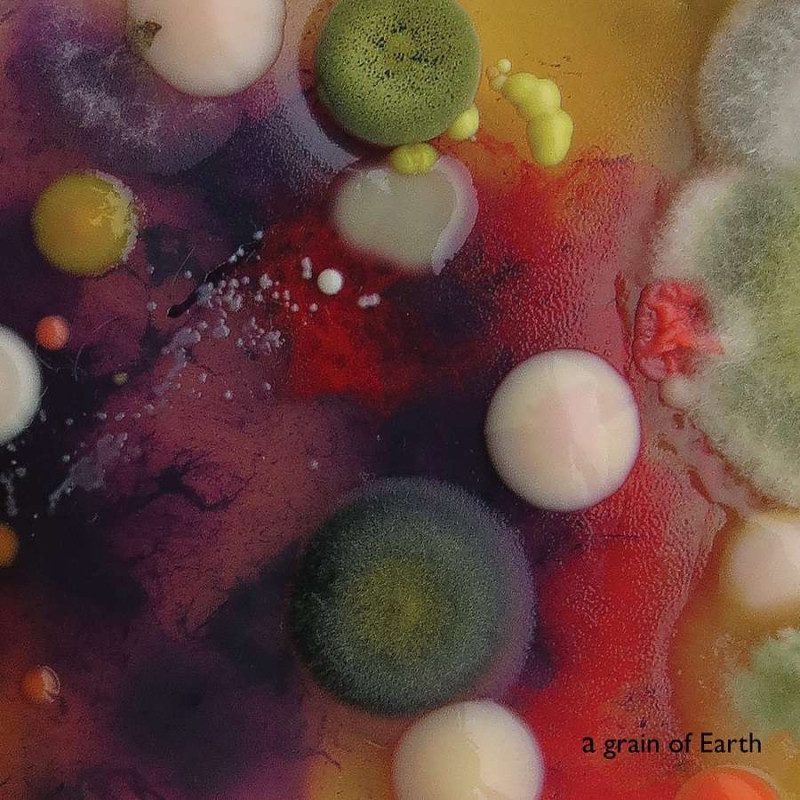 A GRAIN OF EARTH