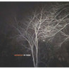 GEOMETRY OF TREES